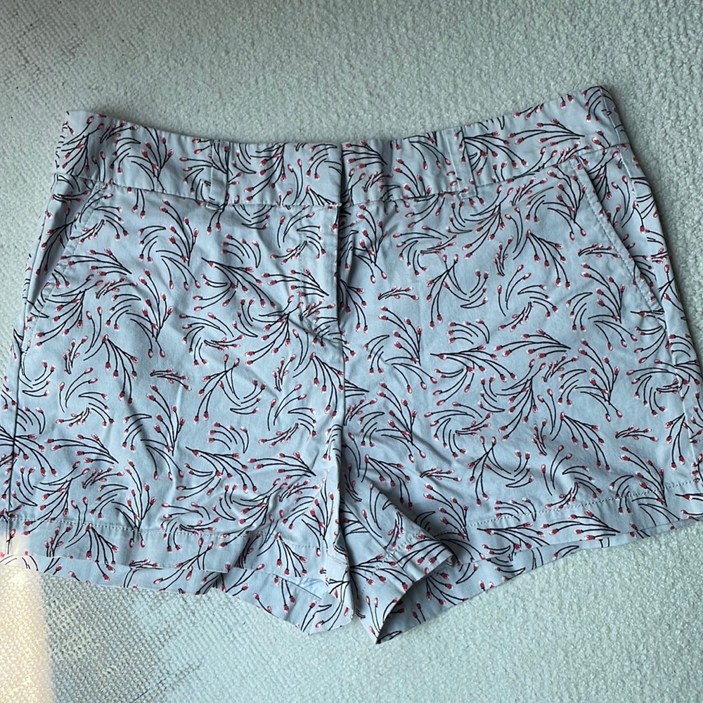Loft Shorts Size 10